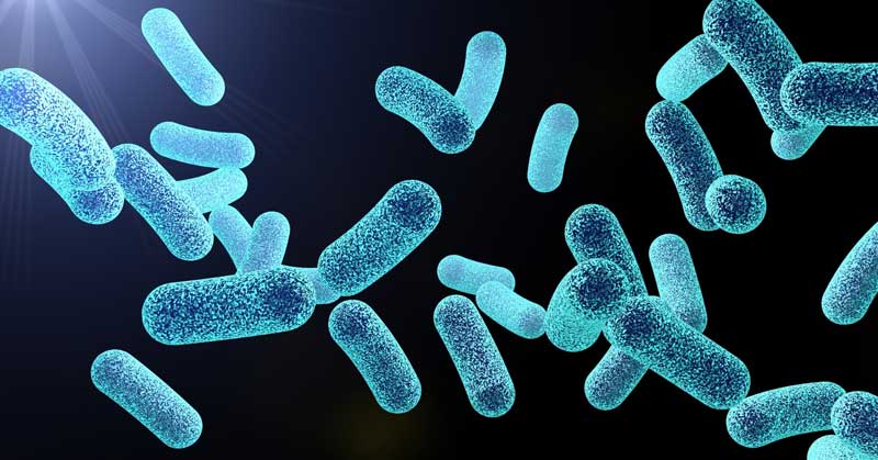 Probiotikai: nauda virškinimui, imunitetui ir bendrai gerovei