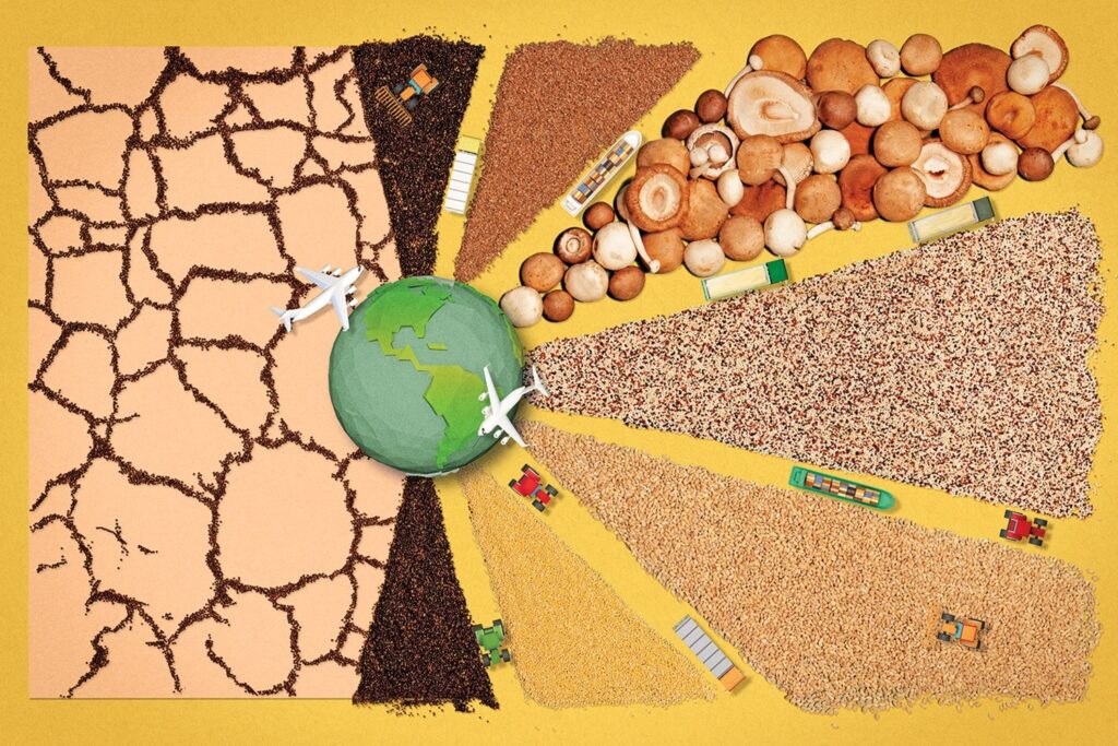 Klimato kaitos poveikis pasauliniam aprūpinimui maistu: Iššūkiai ir sprendimai